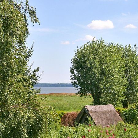 Pension Amo Marem Дирхаген Экстерьер фото